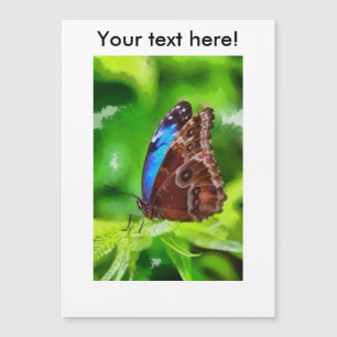 Butterfly painting