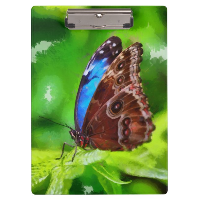 Butterfly painting clipboard (Front)