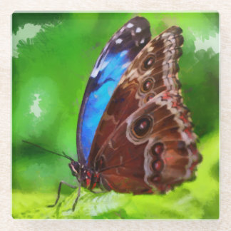 Butterfly painting glass coaster