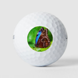 Butterfly painting golf balls