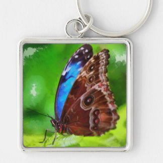 Butterfly painting key ring