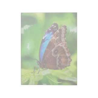 Butterfly painting notepad