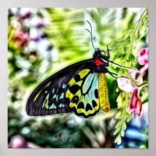 Butterfly Painting Poster