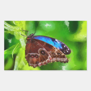 Butterfly painting rectangular sticker