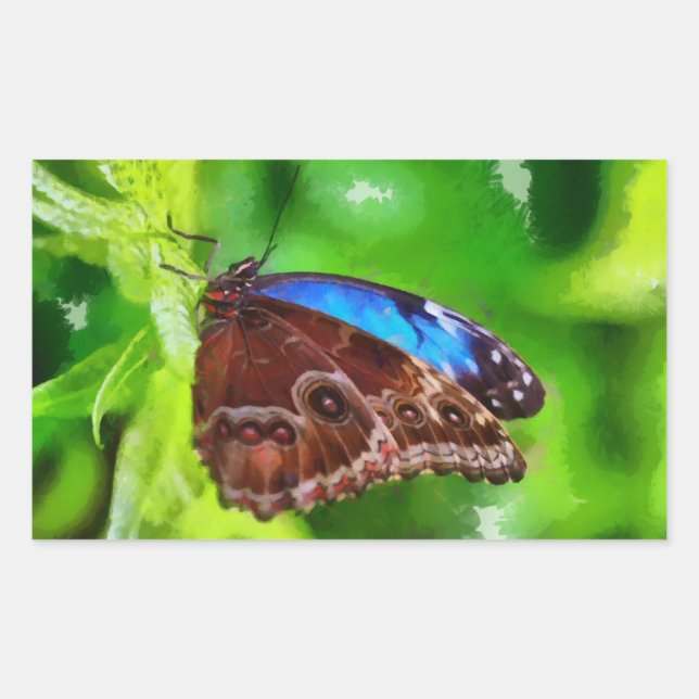 Butterfly painting rectangular sticker (Front)