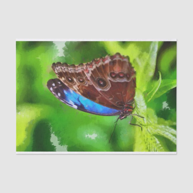 Butterfly painting tissue paper (Front)