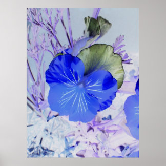 Butterfly Pansy Poster