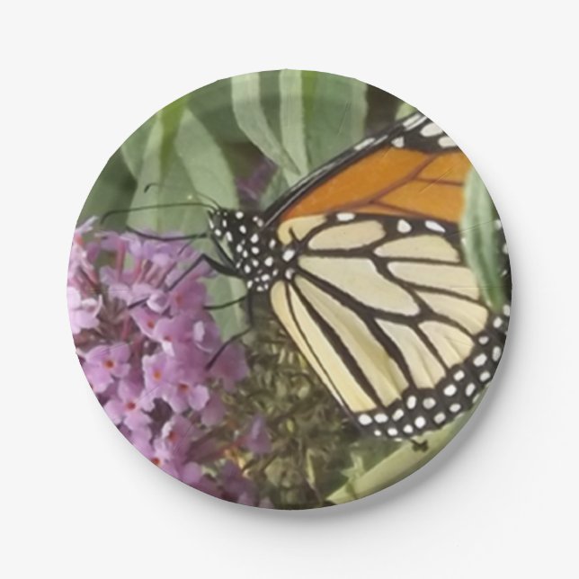 Butterfly Paper Plate (Front)
