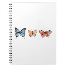 Butterfly Pattern