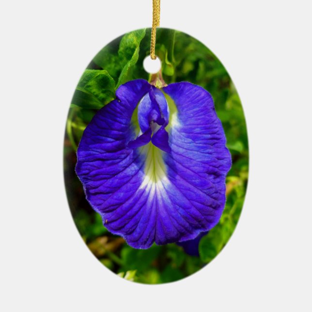 Butterfly Pea Ceramic Tree Decoration (Front)