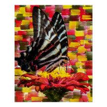 Butterfly perch on the flower