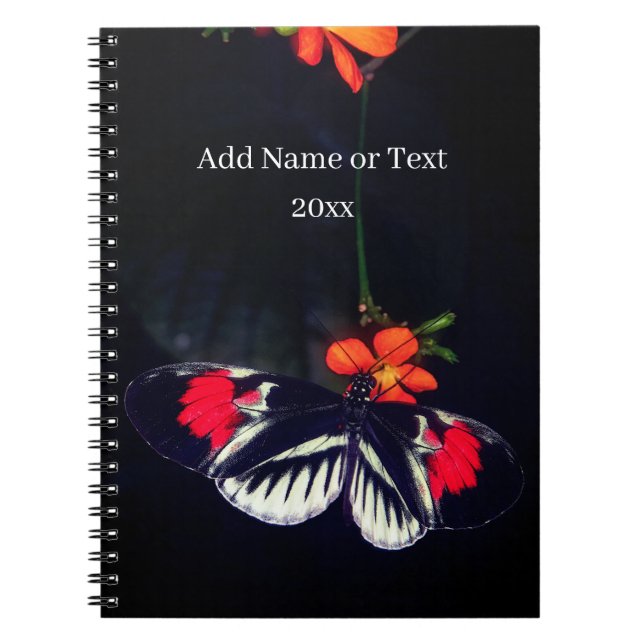 Butterfly Photo Book (Front)