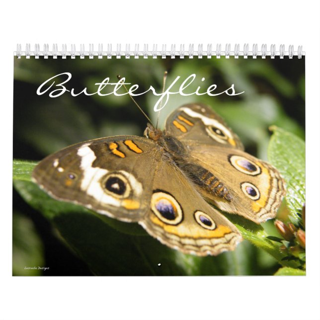 Butterfly Photo Calendar (Cover)
