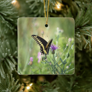 Butterfly Photo Ornament