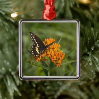 Butterfly Photo Ornament