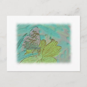 Butterfly Picture Postcard