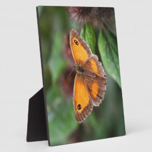 Butterfly Plaque