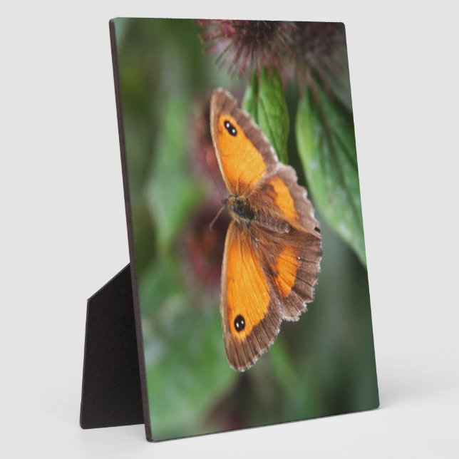 Butterfly Plaque (Side)