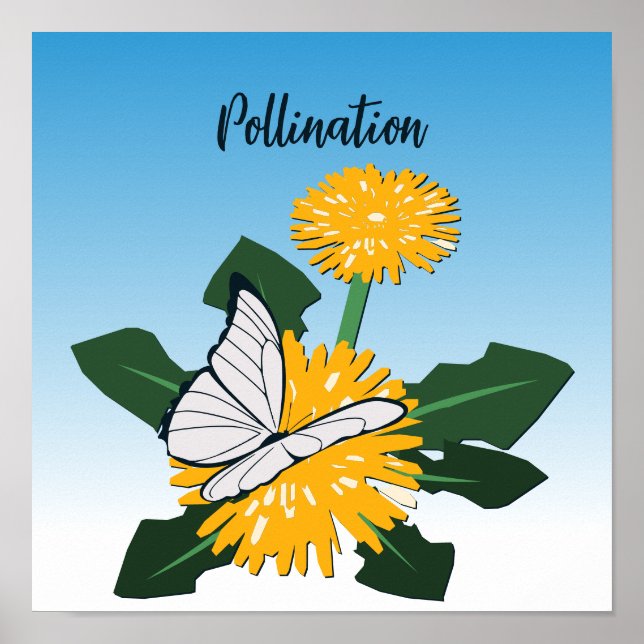 Butterfly Pollination Yellow Wildflower Dandelion Poster (Front)