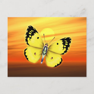 Butterfly Postcard