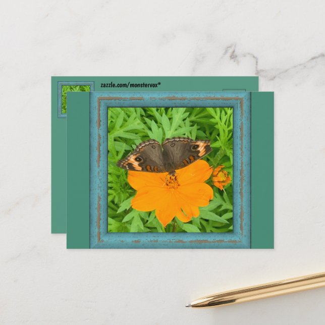 Butterfly Postcard (Front/Back In Situ)