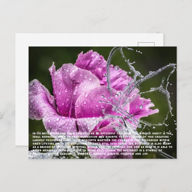 Butterfly Postcard (Front/Back)
