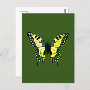 Butterfly Postcard