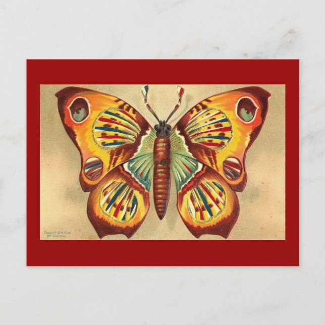 Butterfly Postcard (Front)