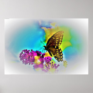 Butterfly,  poster