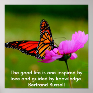 butterfly Poster