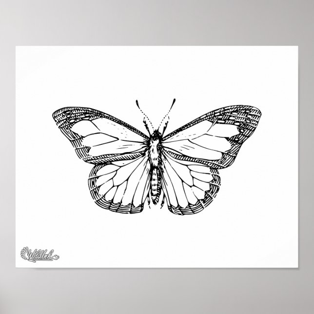 Butterfly Poster (Front)
