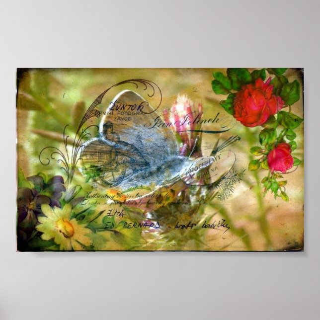 Butterfly Poster (Front)