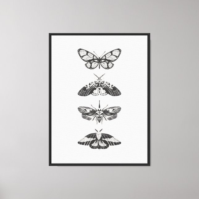 Butterfly print  (Front)