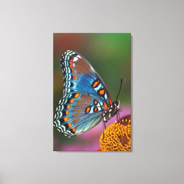 Butterfly profile on a flower canvas print (Front)