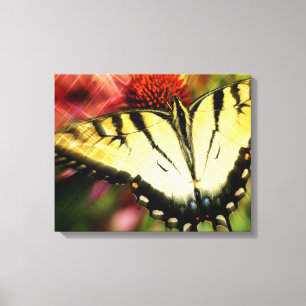 Butterfly Quad Canvas Wrap Print