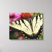 Butterfly Quad Canvas Wrap
