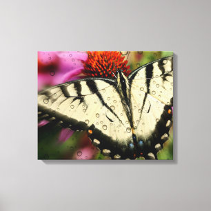 Butterfly Quad Canvas Wrap Print