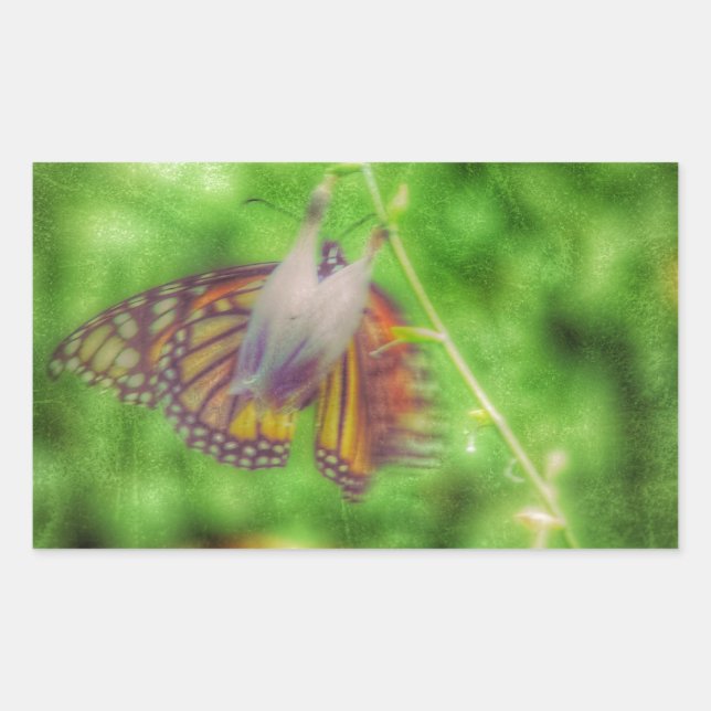 Butterfly Rectangular Sticker (Front)