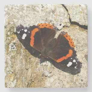 Butterfly - Red Admiral Stone Coaster