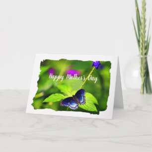 Butterfly Red-spotted Purple Mother's Day Card