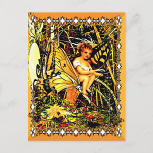 Butterfly Rides Postcard