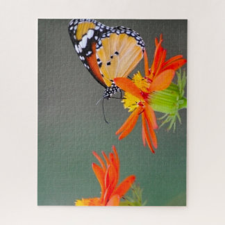 Butterfly series - Monarch butterfly Jigsaw Puzzle