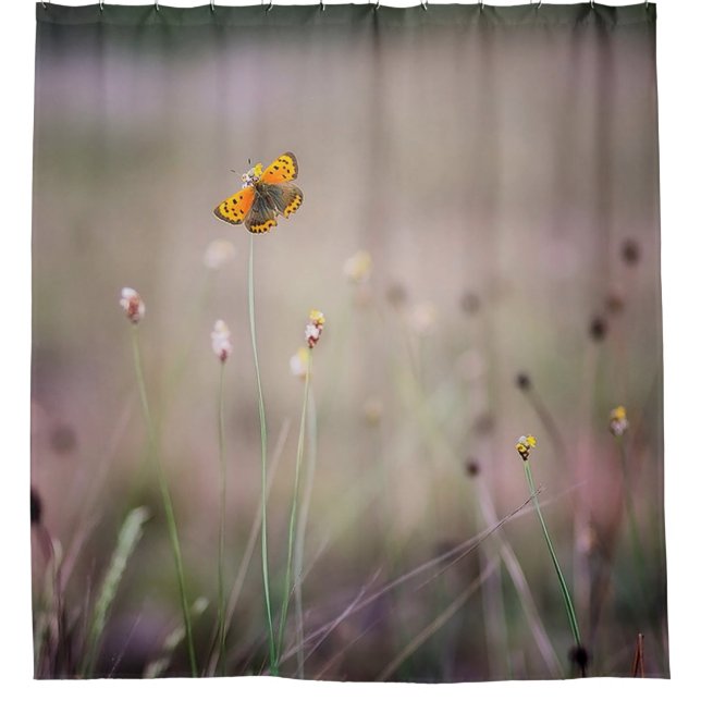 Butterfly Shower Curtain (Front)