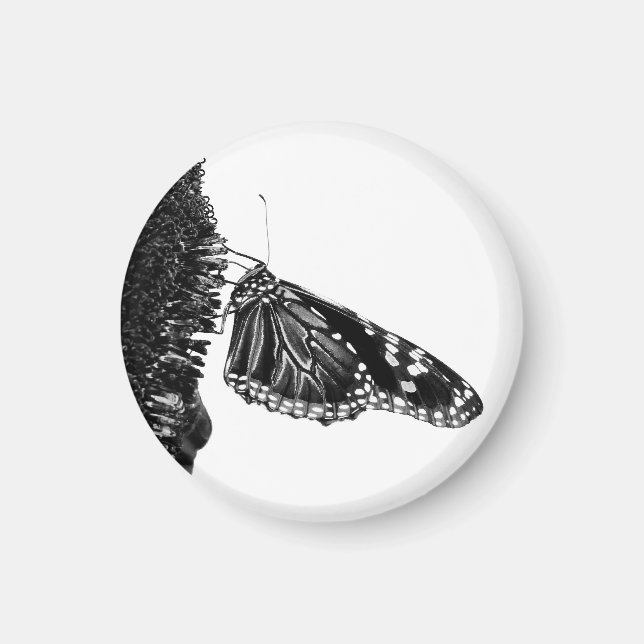 butterfly shy blacq magnet (Front)