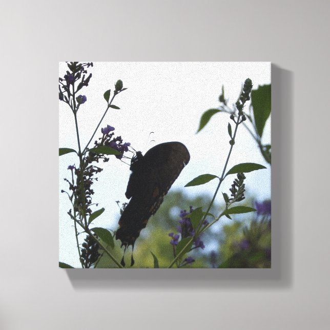 Butterfly Silhouette Canvas Print (Front)