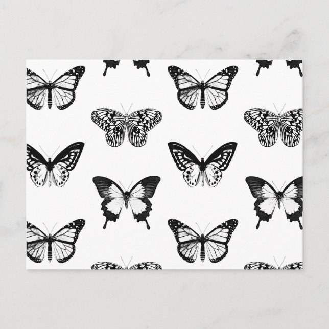 Butterfly sketch, black and white postcard (Front)