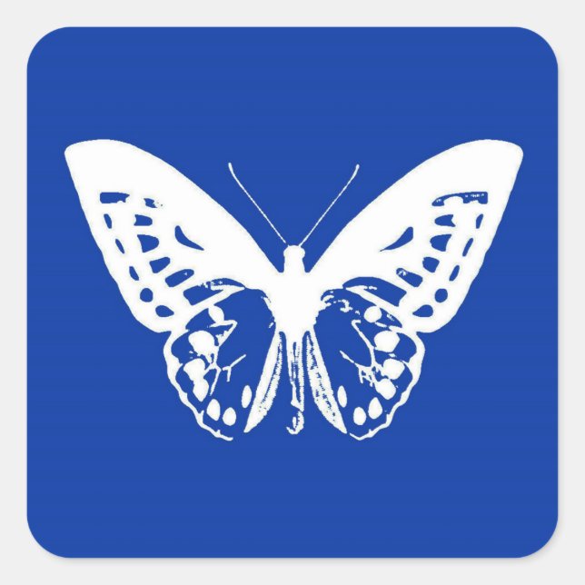 Butterfly sketch, cobalt blue and white square sticker (Front)