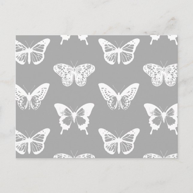 Butterfly sketch, silver grey and white postcard (Front)