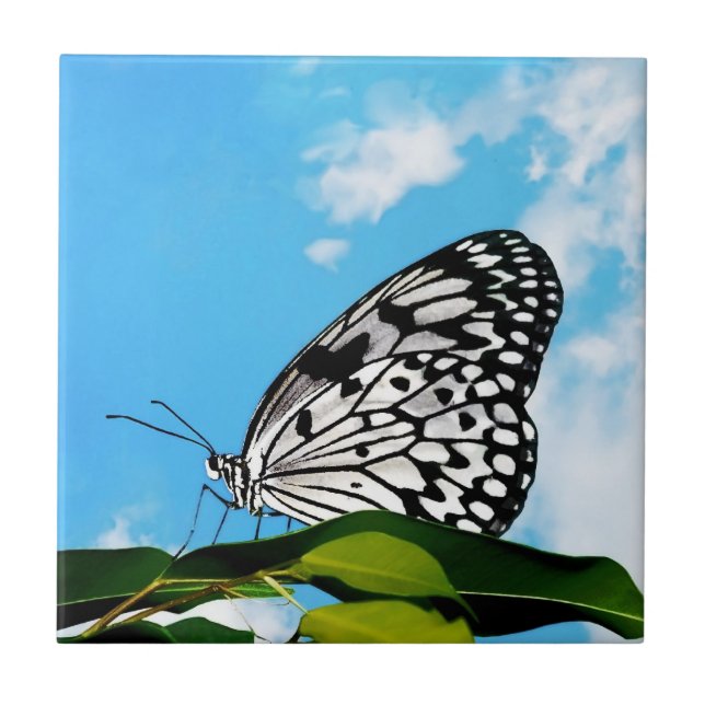 Butterfly & Sky Tile (Front)