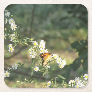 Butterfly Square Paper Coaster